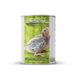 سرلاک عروس هلندی ( جیلراک )