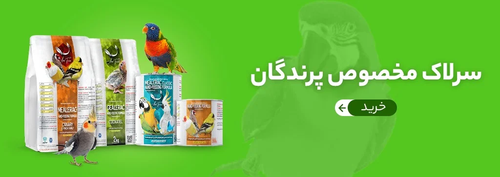 WhatsApp Image 2022 05 29 at 2.49.32 PM